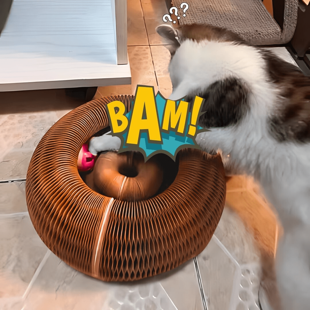 Interaktives Katzenspielzeug – Ball und Kratzbaum