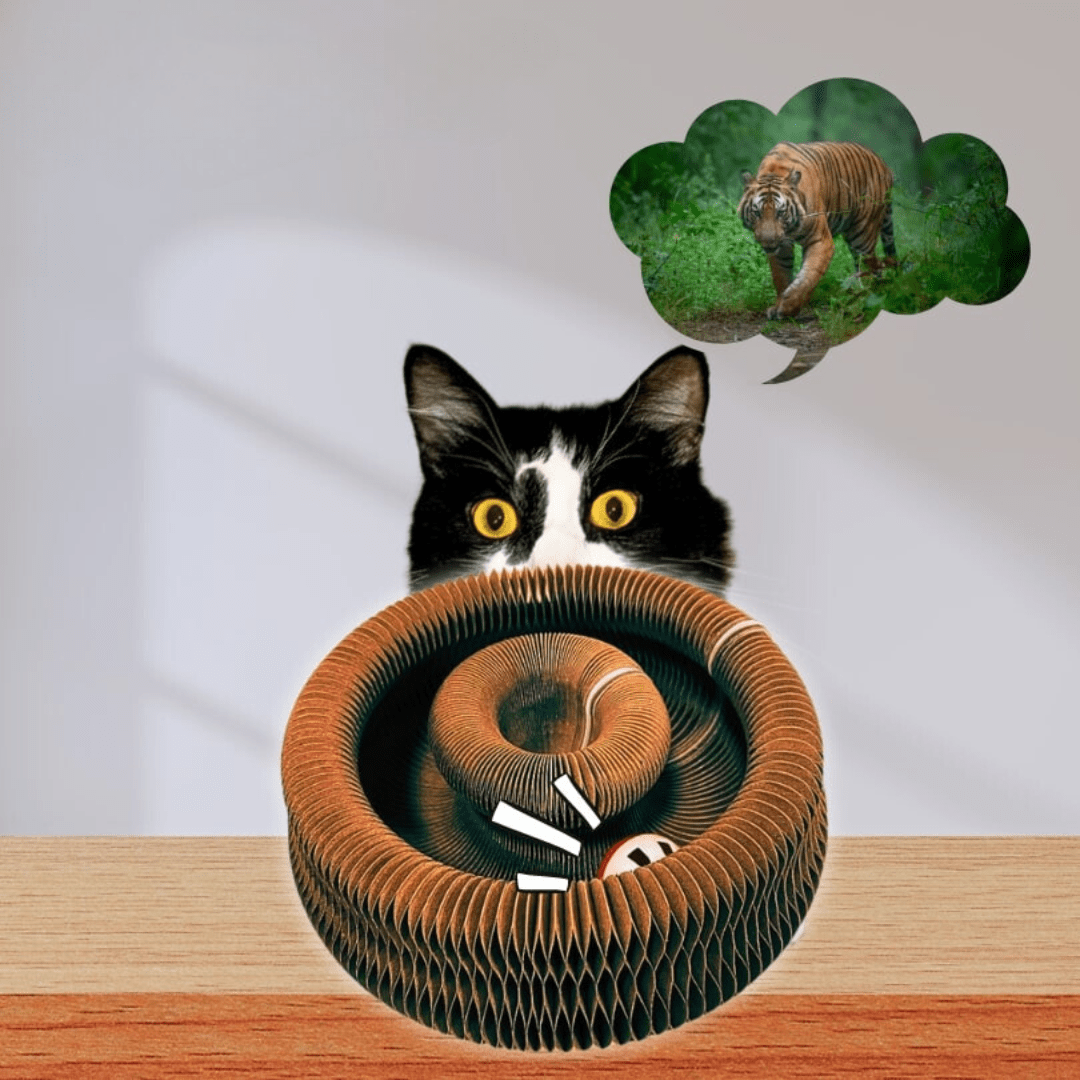 Interaktives Katzenspielzeug – Ball und Kratzbaum